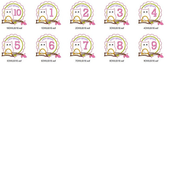 Owl Birthday Set Applique  Embroidery Design