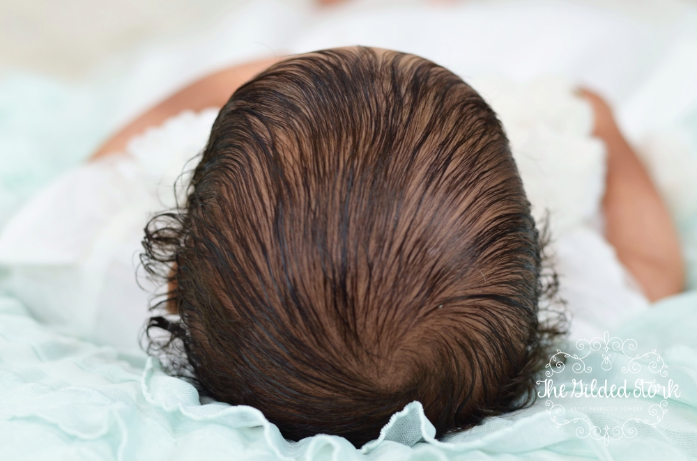 elodiefinal21.jpg elodiefinal21.jpg