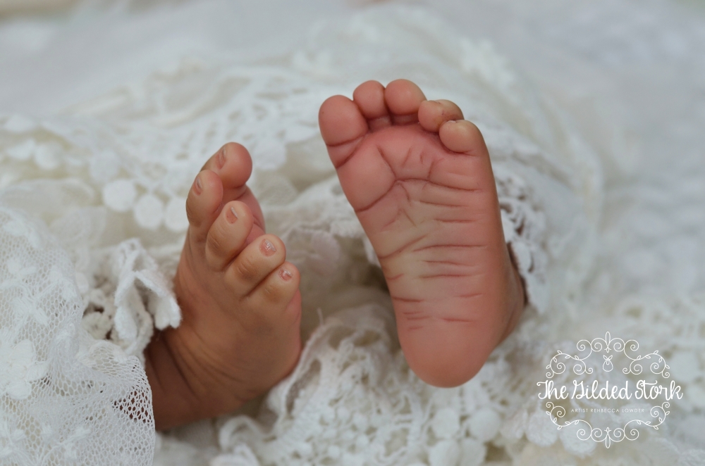 elodiefinal25.jpg elodiefinal25.jpg