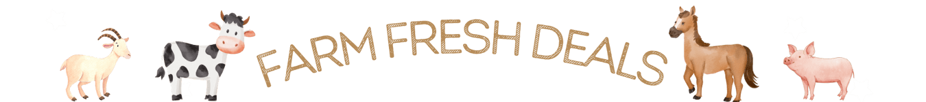 Back to School Machine Embroidery Design Deals